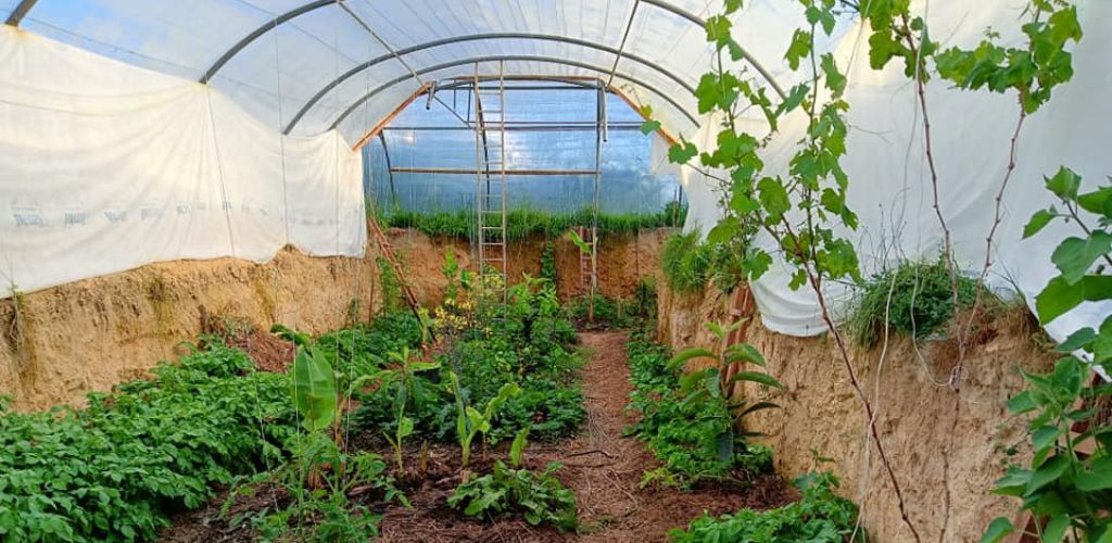 La serre Walipini — serre semi-enterrée pour potager autonome toute l’année